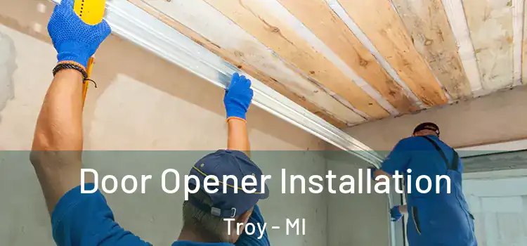Door Opener Installation Troy - MI