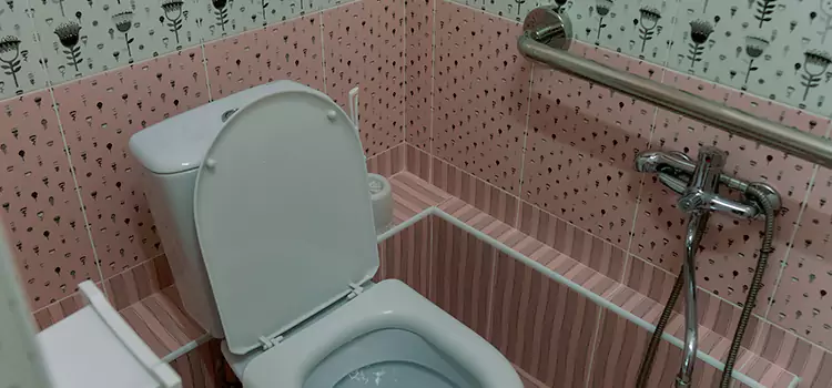 Meeting Diverse Needs With Accessible Restroom Solutions in Troy, MI